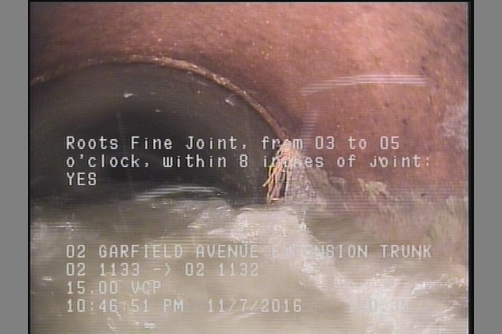 Roots Fine Joint, from 03 to 05 o'clock, within 8 inches of joint: YES