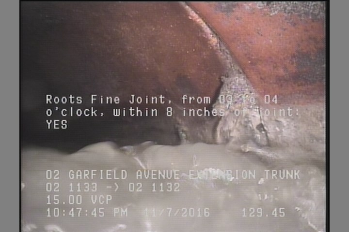 Roots Fine Joint, from 03 to 04 o'clock, within 8 inches of joint: YES