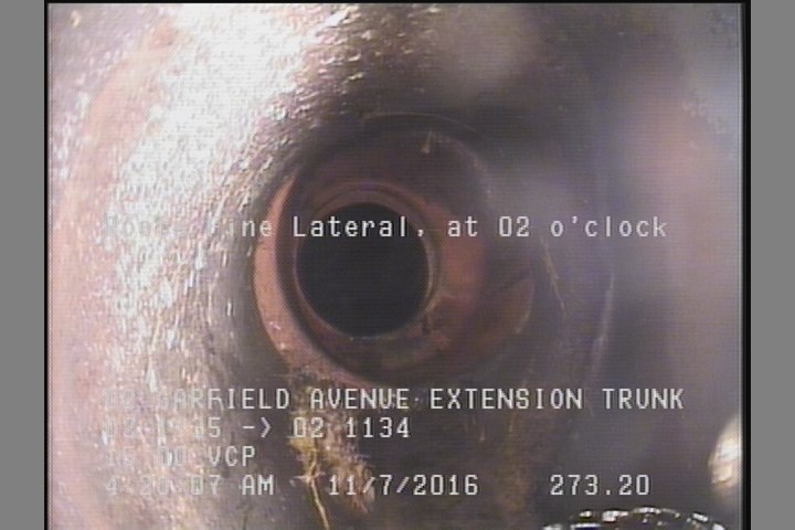 Roots Fine Lateral, at 02 o'clock
