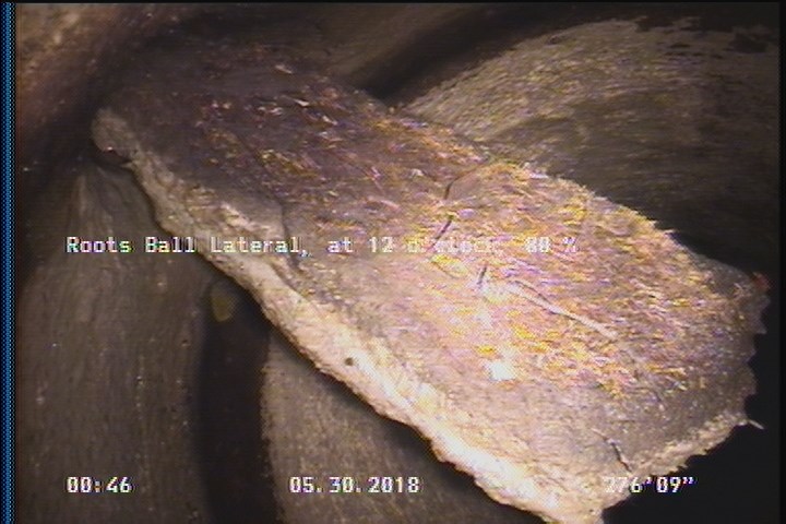 Roots Ball Lateral, at 12 o'clock, 80 %
