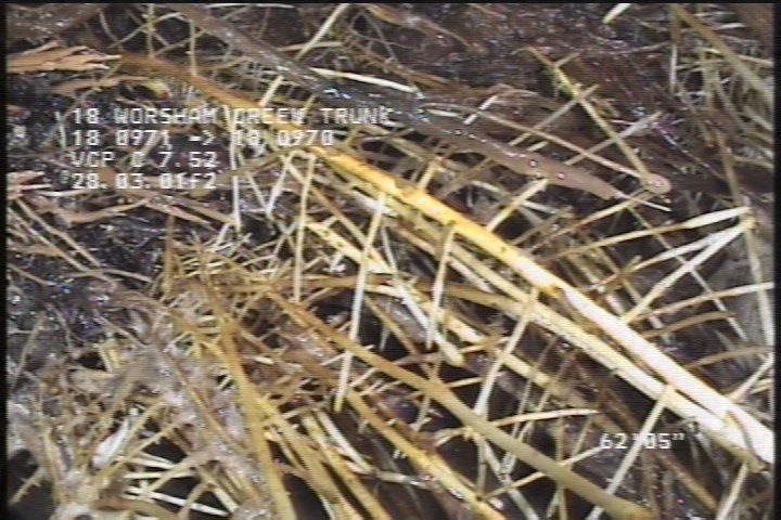 Tap Break-In Defective, at 10 o'clock, -, , within 8 inches of joint: NO, 6" - ACTIVE 80% ROOTS