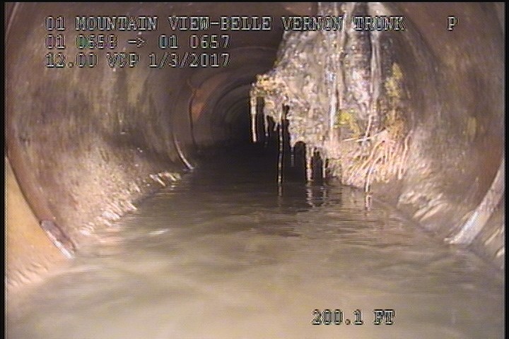 Roots Medium Lateral, from 01 to 04 o'clock, 25 %, within 8 inches of joint: YES