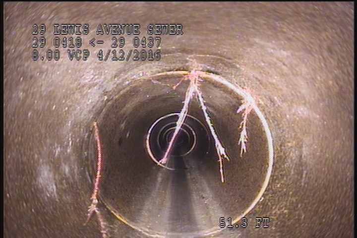 Roots Fine Joint, from 09 to 01 o'clock, within 8 inches of joint: YESR