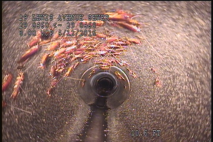 General Observation - ROACHES INSIDE THE LINE