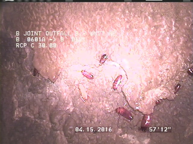 Surface Spalling, from 01 to 03 o'clock, within 8 inches of joint: YES