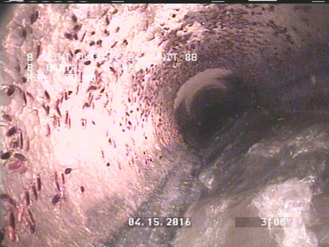 General Observation - MAG COAT 70% START 8:00 TO 4:00