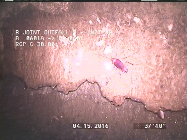 Surface Spalling, from 08 to 04 o'clock, within 8 inches of joint: YES, Start - PEELING LAITANCE COAT UNDER MAG COAT