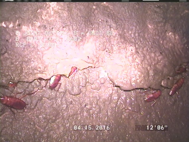 Surface Spalling, from 08 to 04 o'clock, within 8 inches of joint: YES, Start - PEELING LAITANCE COAT UNDER MAG COAT