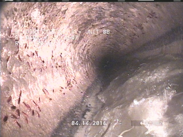 General Observation - MAG COAT 85% 8:00 TO 4:00 START