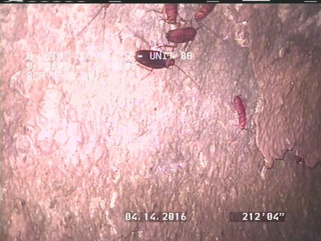 Surface Spalling, from 02 to 04 o'clock, within 8 inches of joint: NO - PEELING BLISTERING LAITANCE COAT UNDER MAG COAT