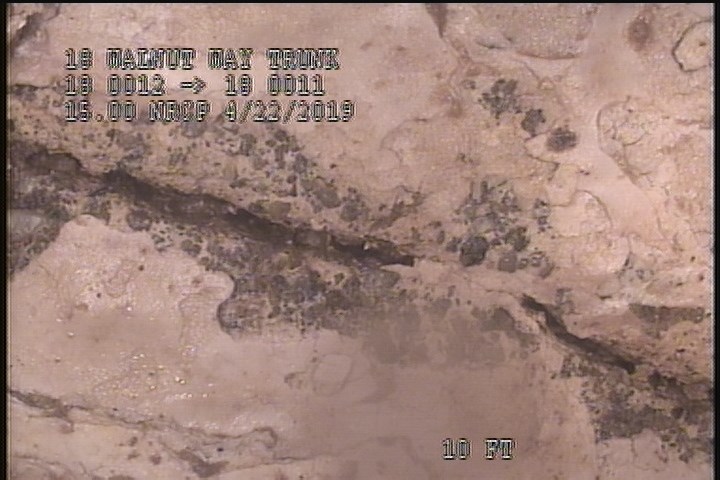 General Photograph