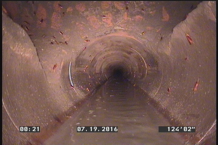Deposits Attached Grease, 5 %of cross sectional area, from 05 to 07 o'clock, , within 8 inches of joint: YES, Finish