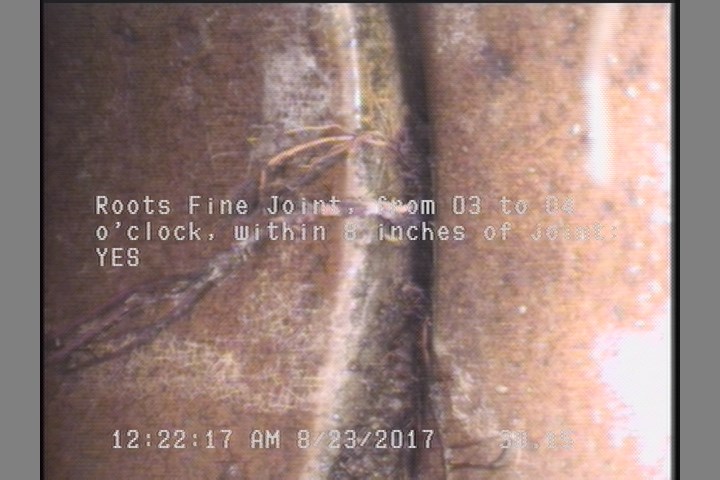 Roots Fine Joint, from 03 to 04 o'clock, within 8 inches of joint: YES