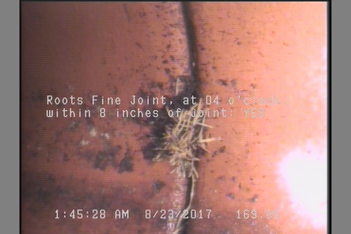 Roots Fine Joint, at 04 o'clock, within 8 inches of joint: YES