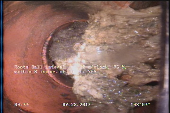 Roots Ball Lateral, at 12 o'clock, 95 %, within 8 inches of joint: YES - INSIDE THE LATERAL