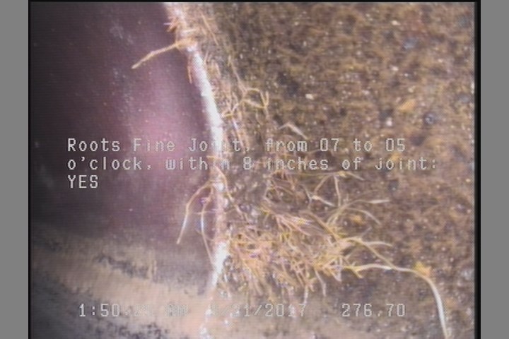 Roots Fine Joint, from 07 to 05 o'clock, within 8 inches of joint: YES