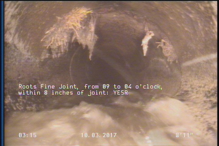 Roots Fine Joint, from 09 to 04 o'clock, within 8 inches of joint: YESR