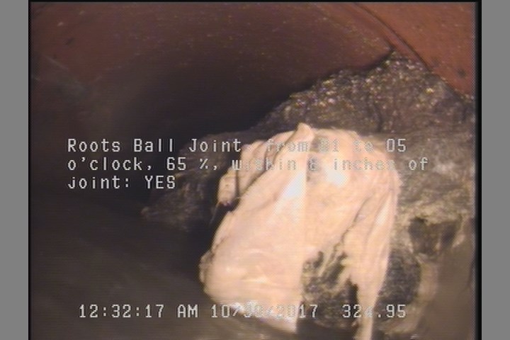 Roots Ball Joint, from 01 to 05 o'clock, 65 %, within 8 inches of joint: YES