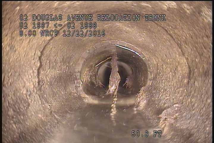 General Photograph - ROOTS HANGING FROM A LINK PIPE (REPAIR)