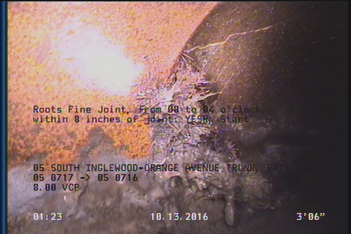 Roots Fine Joint, from 08 to 04 o'clock, within 8 inches of joint: YESR, Start