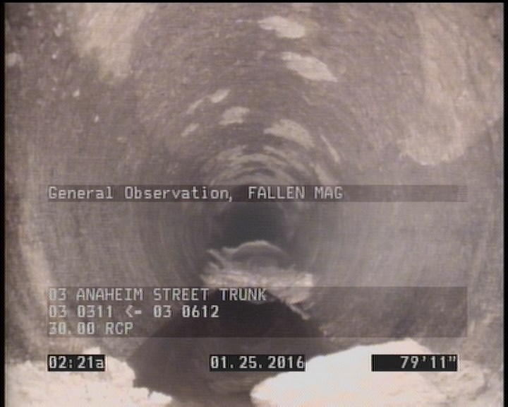 General Observation - FALLEN MAG