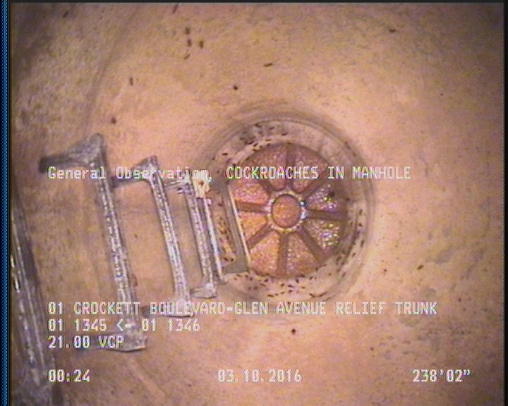 General Observation - COCKROACHES IN MANHOLE