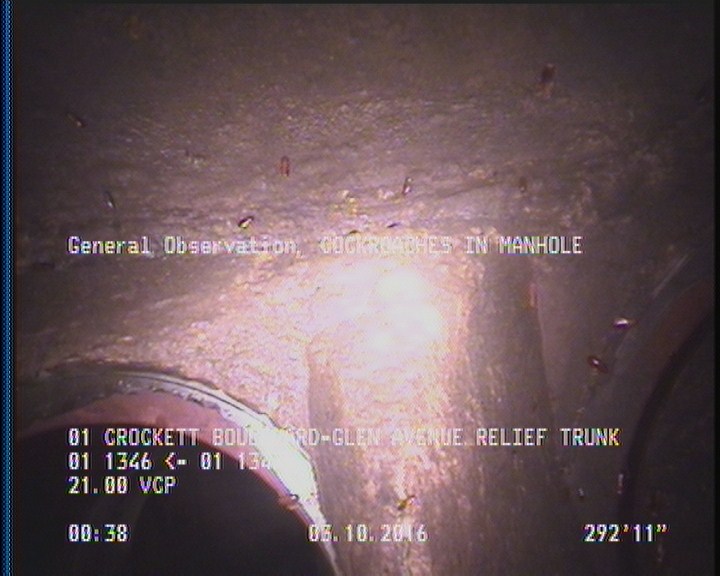 General Observation - COCKROACHES IN MANHOLE