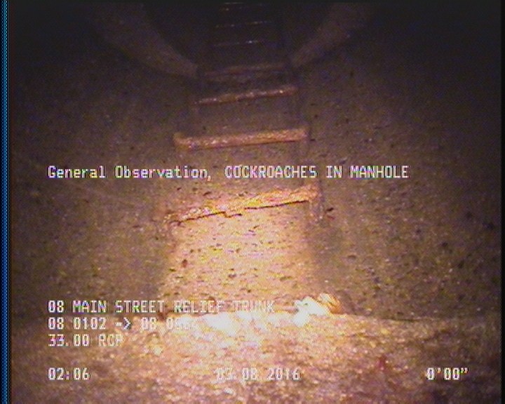 General Observation - COCKROACHES IN MANHOLE