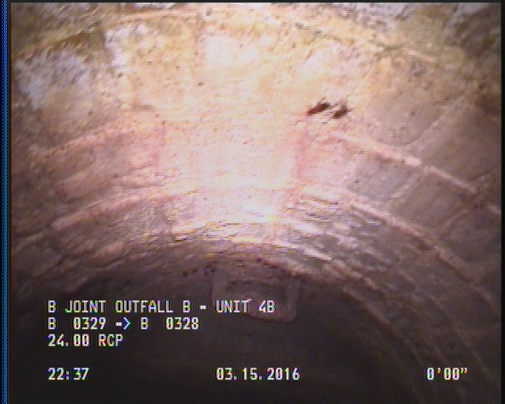 General Observation - COCKROACHES IN MANHOLE