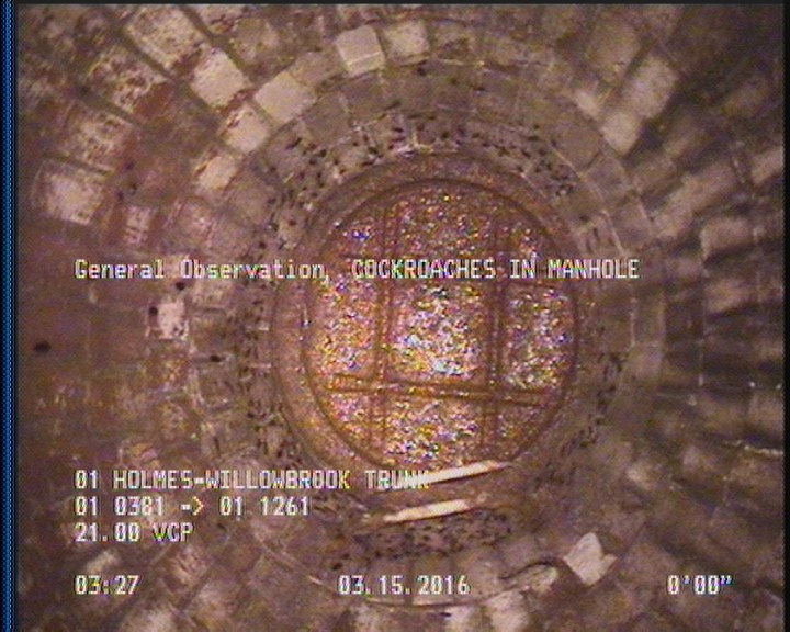 General Observation - COCKROACHES IN MANHOLE