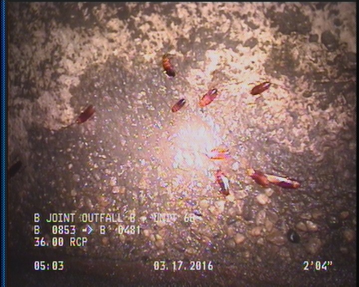 Surface Aggregate Projecting, from 09 to 03 o'clock, within 8 inches of joint: YES, Start
