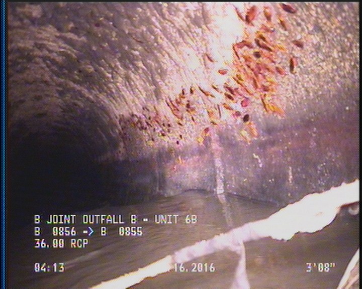 Deposits Attached Grease, 5 %of cross sectional area, from 04 to 08 o'clock, , within 8 inches of joint: YES, Start