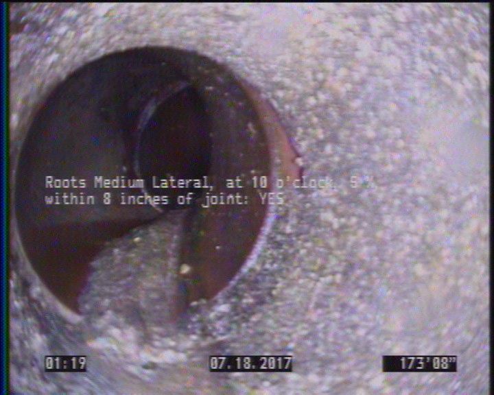 Roots Medium Lateral, at 10 o'clock, 5 %, within 8 inches of joint: YES