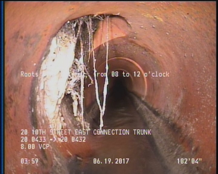Roots Fine Lateral, from 08 to 12 o'clock