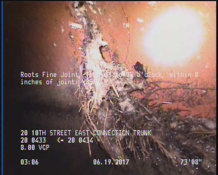 Roots Fine Joint, from 03 to 05 o'clock, within 8 inches of joint: YESR