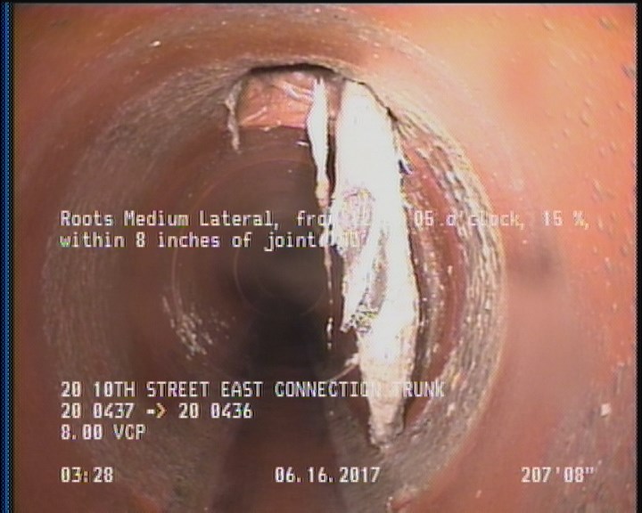 Roots Medium Lateral, from 12 to 05 o'clock, 15 %, within 8 inches of joint: NO