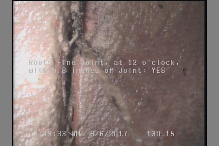 Roots Fine Joint, at 12 o'clock, within 8 inches of joint: YES