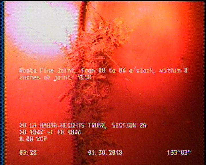 Roots Fine Joint, from 08 to 04 o'clock, within 8 inches of joint: YESR