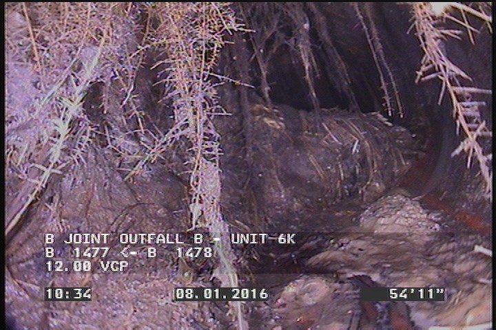 Survey Abandoned - DUE TO ROOTS