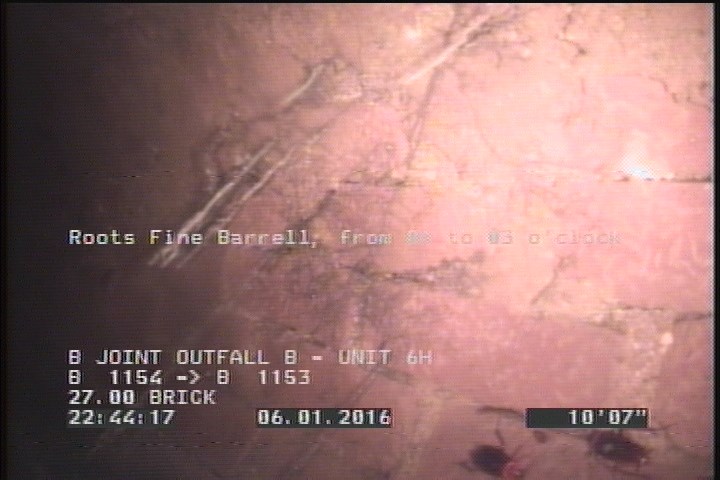 Roots Fine Barrell, from 01 to 03 o'clock