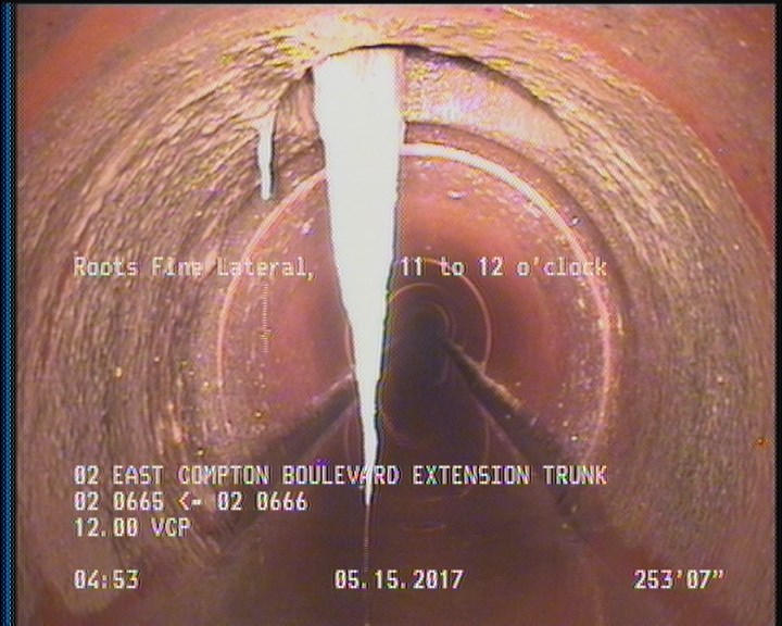 Roots Fine Lateral, from 11 to 12 o'clock