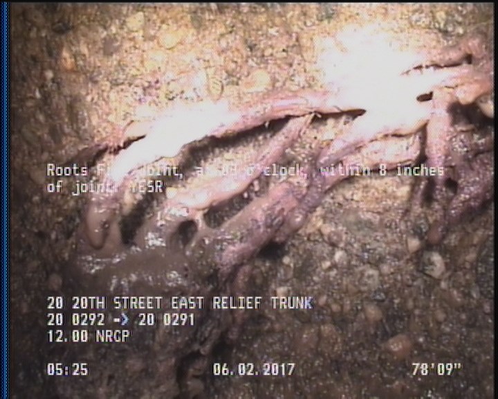 Roots Fine Joint, at 03 o'clock, within 8 inches of joint: YESR