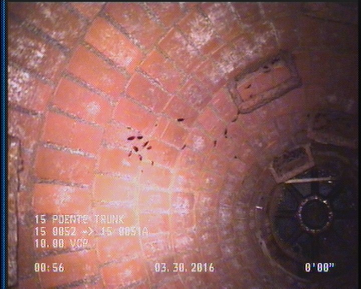 General Observation - COCKROACHES IN MANHOLE