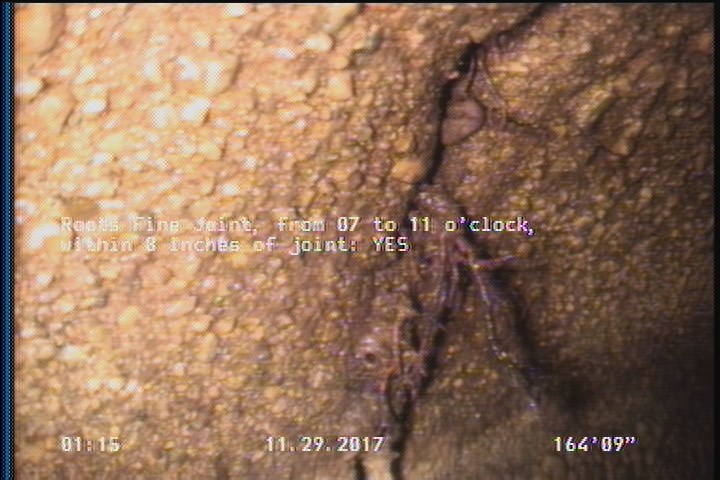 Roots Fine Joint, from 07 to 11 o'clock, within 8 inches of joint: YES