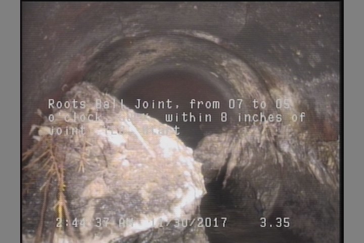Roots Ball Joint, from 07 to 05 o'clock, 60 %, within 8 inches of joint: YES, Start