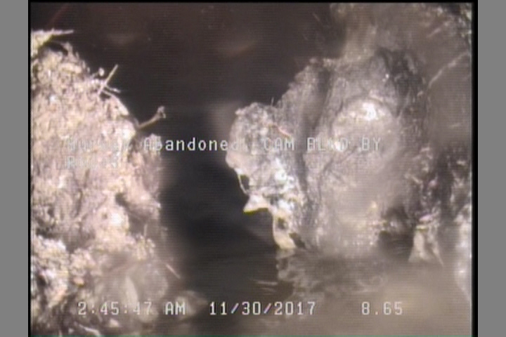 Survey Abandoned - CAM BLKD BY ROOTS