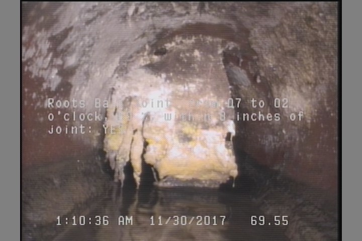 Roots Ball Joint, from 07 to 02 o'clock, 60 %, within 8 inches of joint: YES
