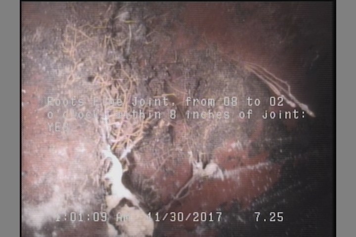 Roots Fine Joint, from 08 to 02 o'clock, within 8 inches of joint: YES