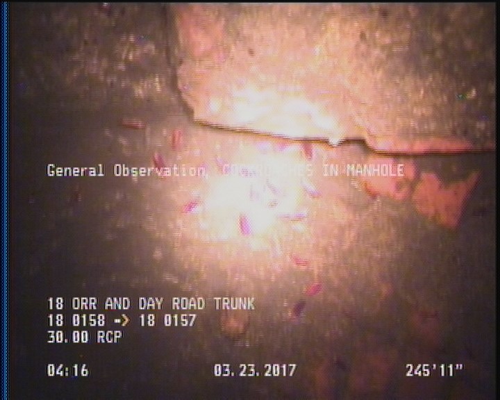 General Observation - COCKROACHES IN MANHOLE