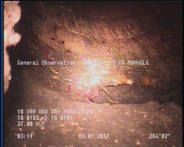 General Observation - COCKROACHES IN MANHOLE